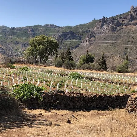 Casa-finca El Maipez De Tejeda * 라스팔마스