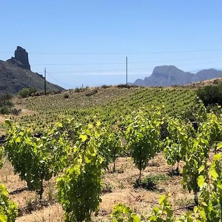 Casa-finca El Maipéz De Tejeda Сasa de vacaciones *