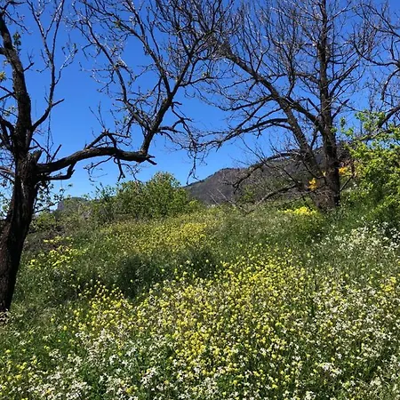 Casa-finca El Maipéz De Tejeda *