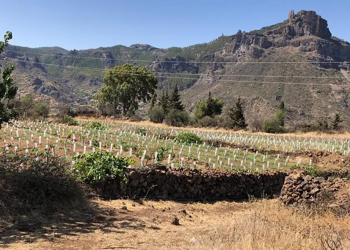 Casa-finca El Maipez De Tejeda * Las Palmas / Gran Canaria