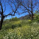 Casa-finca El Maipéz De Tejeda *