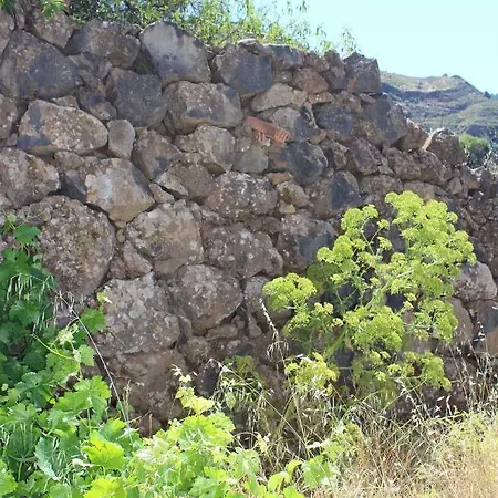 Casa-finca El Maipéz De Tejeda *