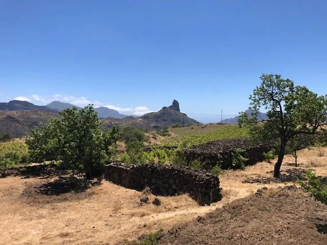Casa-finca El Maipez De Tejeda