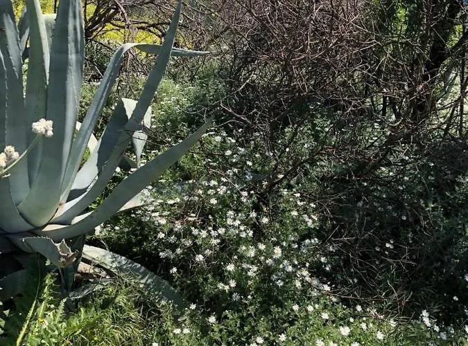 Casa-finca El Maipez De Tejeda