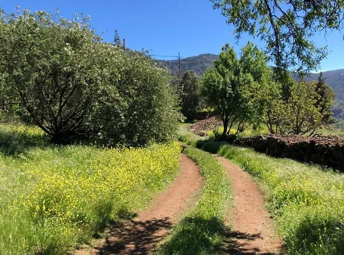 Casa-finca El Maipez De Tejeda 라스팔마스