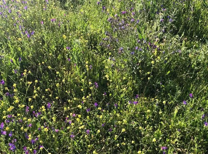 펜션 Casa-finca El Maipez De Tejeda 라스팔마스