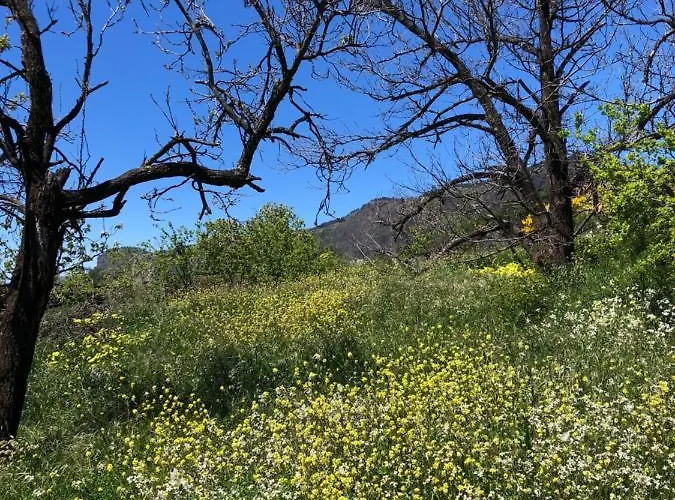 Casa-finca El Maipez De Tejeda *