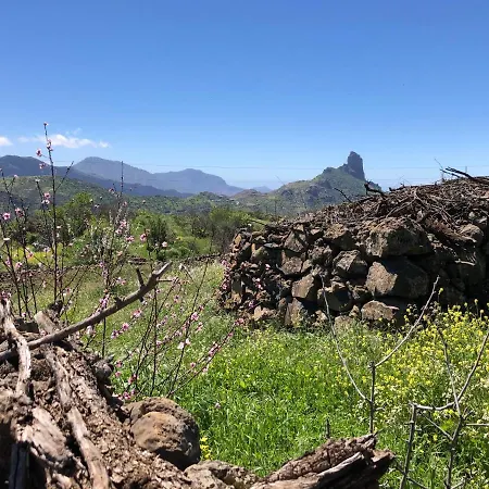 Casa-finca El Maipez De Tejeda Las Palmas de Gran Canaria